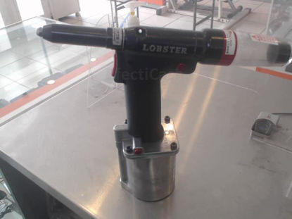 Picture of Lobster Modelo: R1a1 - Publicado el: 14 May 2023