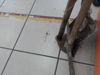 Foto de (sb) Lote Herramienta - Publicado el: 30 Abr 2025