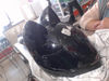 Foto de (sf) Nitrinos   Gato - Publicado el: 31 May 2025