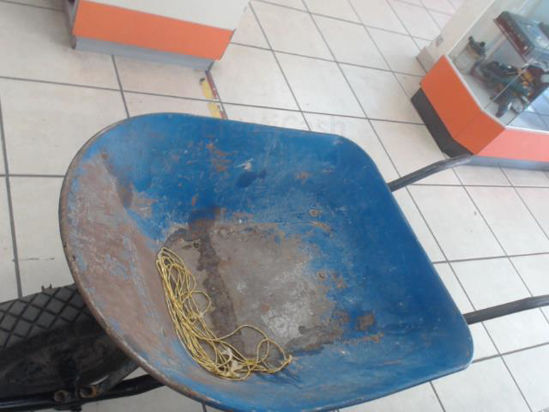 Foto de (sb) Cuervo Arretilla - Publicado el: 08 Jun 2025