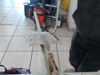 Foto de (sb) Lote Herramienta - Publicado el: 09 Jun 2025