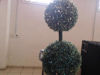 Foto de (sf) Arbol Luces - Publicado el: 15 Jul 2025