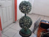 Foto de (sf) Arbol Luces - Publicado el: 15 Jul 2025