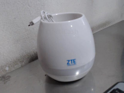 Foto de Zte Modelo: Maceta - Publicado el: 18 May 2021